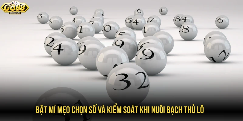 Bật mí mẹo chọn số và kiểm soát khi nuôi bạch thủ lô