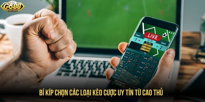 Bí kíp chọn các loại kèo cược uy tín từ cao thủ