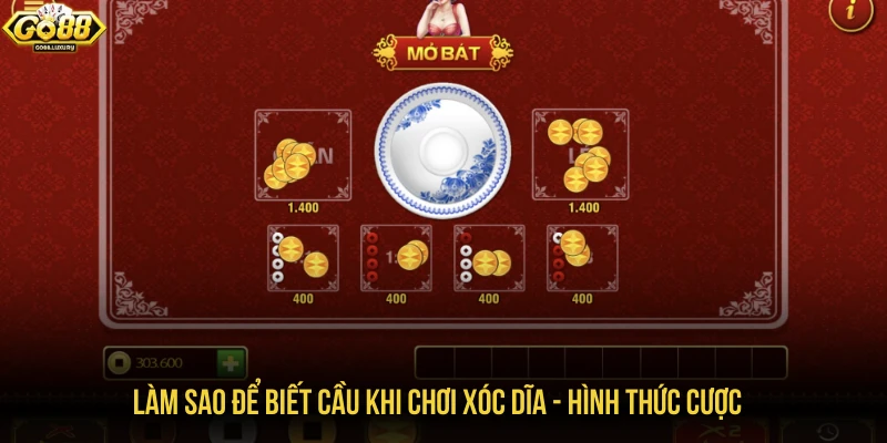 Làm sao để biết cầu khi chơi xóc dĩa - Hình thức cược